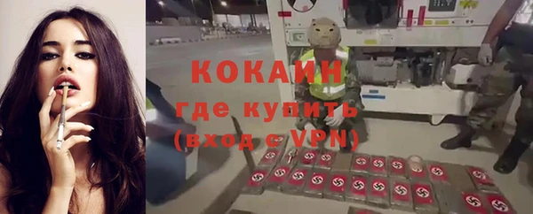 трава Белокуриха