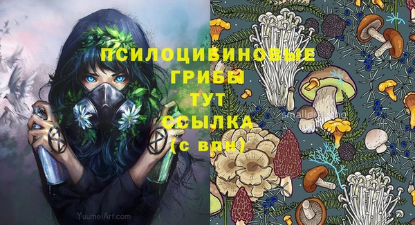 ALPHA-PVP Богородицк