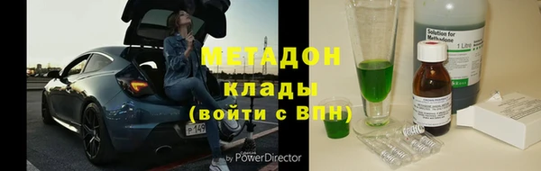трава Белокуриха