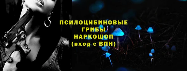 трава Белокуриха