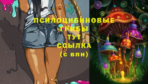 трава Белокуриха