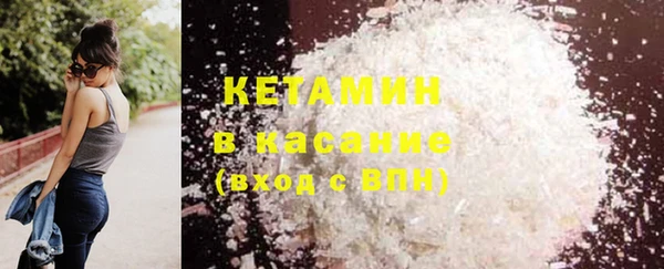 трава Белокуриха