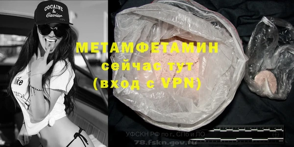 трава Белокуриха
